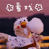 timg (1).gif